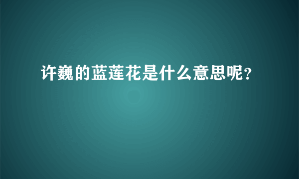 许巍的蓝莲花是什么意思呢？