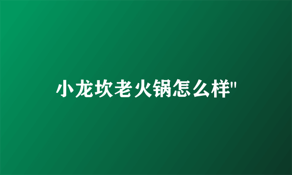 小龙坎老火锅怎么样