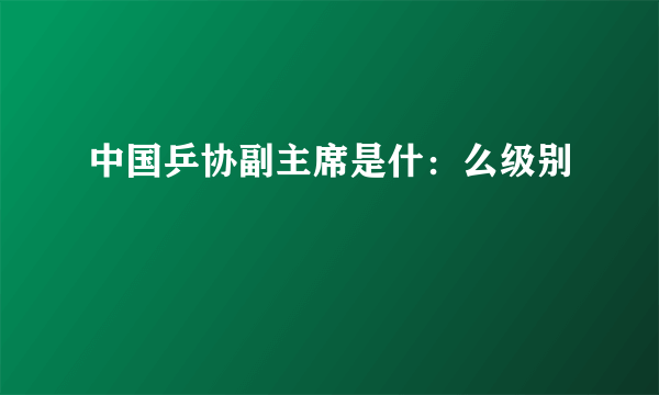 中国乒协副主席是什：么级别