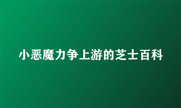 小恶魔力争上游的芝士百科