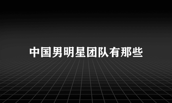 中国男明星团队有那些