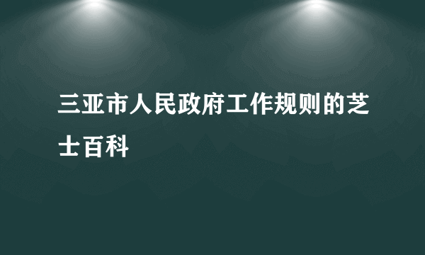 三亚市人民政府工作规则的芝士百科