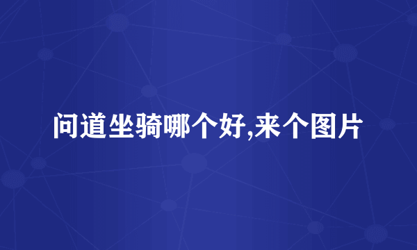 问道坐骑哪个好,来个图片