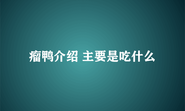 瘤鸭介绍 主要是吃什么