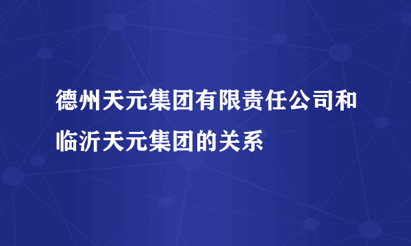 德州天元集团有限责任公司和临沂天元集团的关系
