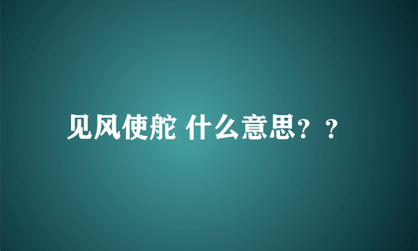 见风使舵 什么意思？？