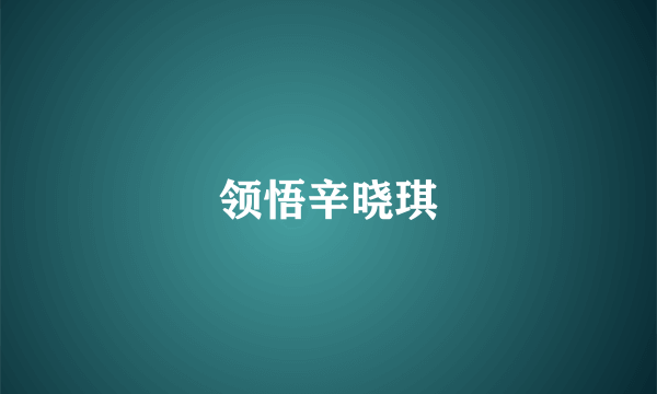 领悟辛晓琪