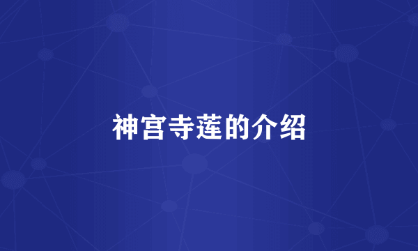 神宫寺莲的介绍