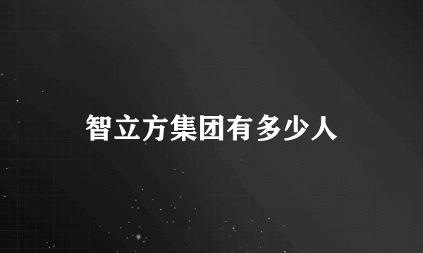 智立方集团有多少人