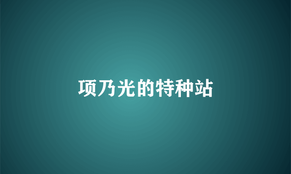 项乃光的特种站