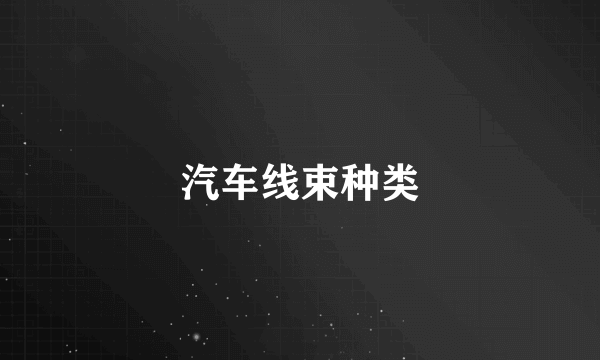 汽车线束种类