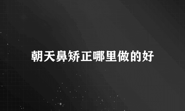 朝天鼻矫正哪里做的好