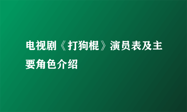 电视剧《打狗棍》演员表及主要角色介绍