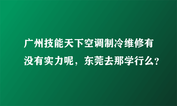 广州技能天下空调制冷维修有没有实力呢，东莞去那学行么？