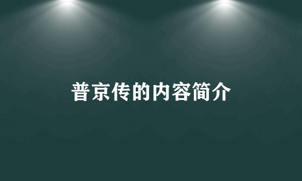 普京传的内容简介