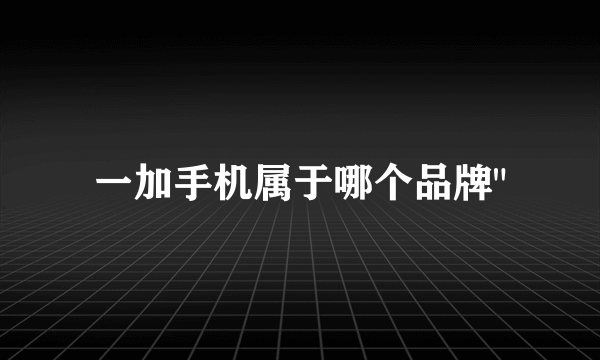 一加手机属于哪个品牌