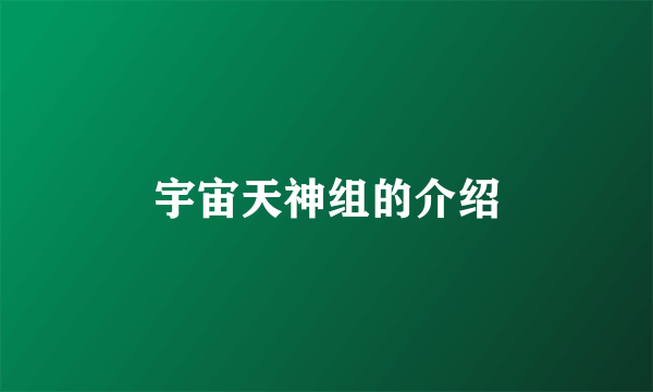 宇宙天神组的介绍