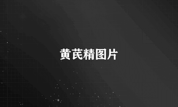 黄芪精图片