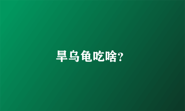 旱乌龟吃啥？
