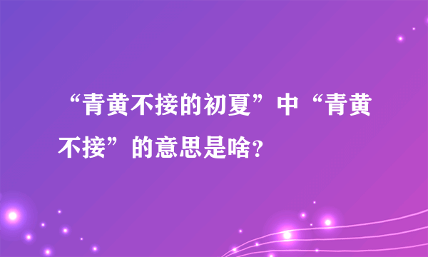 “青黄不接的初夏”中“青黄不接”的意思是啥？