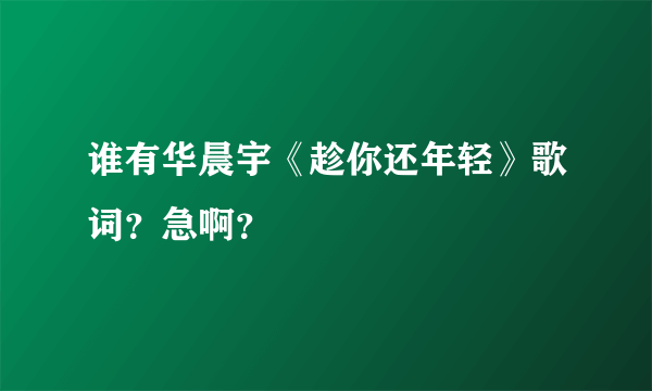 谁有华晨宇《趁你还年轻》歌词？急啊？