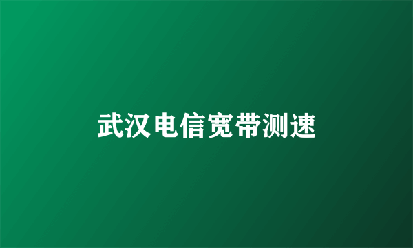 武汉电信宽带测速