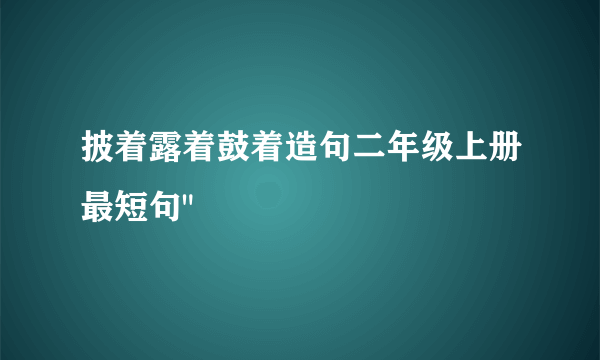 披着露着鼓着造句二年级上册最短句