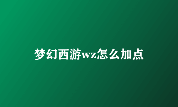 梦幻西游wz怎么加点