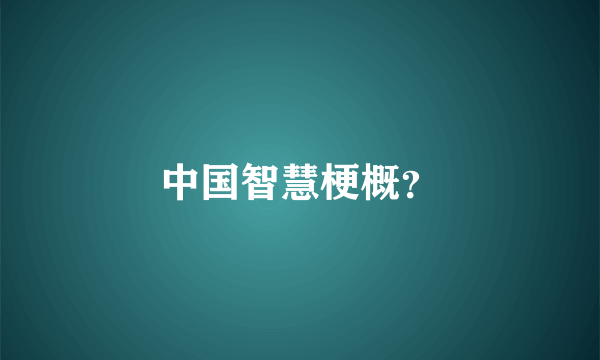 中国智慧梗概？