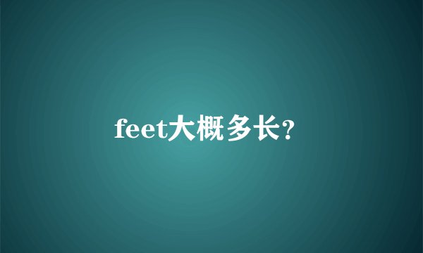 feet大概多长？