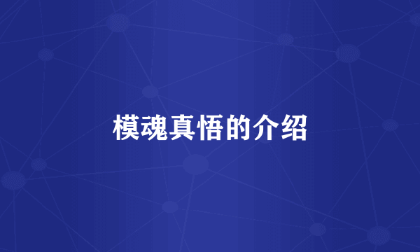 模魂真悟的介绍