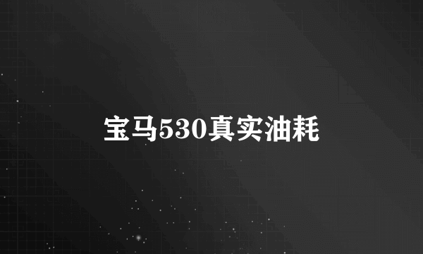 宝马530真实油耗