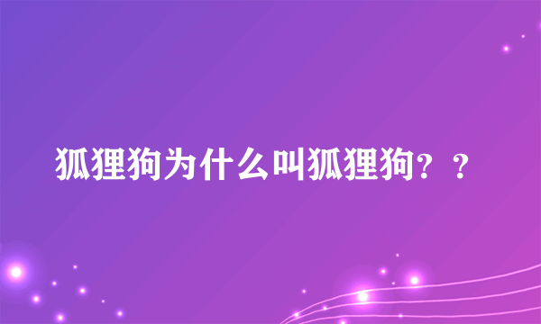 狐狸狗为什么叫狐狸狗？？