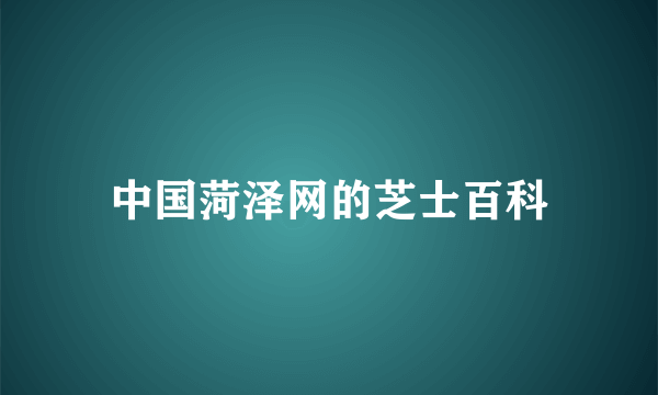 中国菏泽网的芝士百科