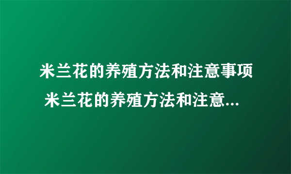 米兰花的养殖方法和注意事项 米兰花的养殖方法和注意事项有哪些