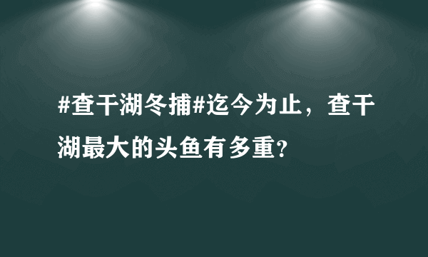 #查干湖冬捕#迄今为止，查干湖最大的头鱼有多重？
