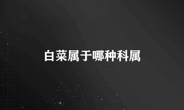 白菜属于哪种科属