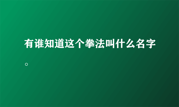 有谁知道这个拳法叫什么名字。