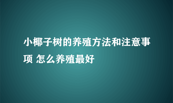 小椰子树的养殖方法和注意事项 怎么养殖最好