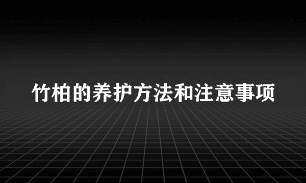 竹柏的养护方法和注意事项