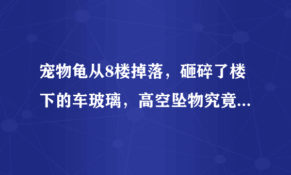 宠物龟从8楼掉落，砸碎了楼下的车玻璃，高空坠物究竟有多危险呢？