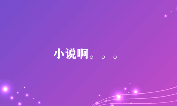 小说啊。。。
