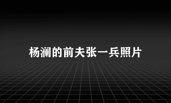 杨澜的前夫张一兵照片