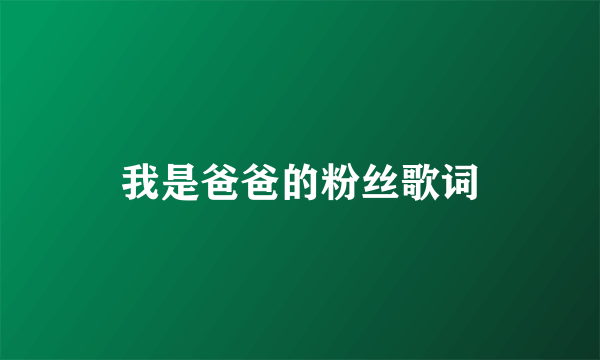 我是爸爸的粉丝歌词