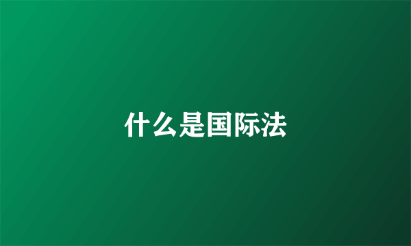 什么是国际法