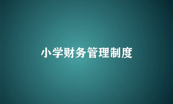 小学财务管理制度