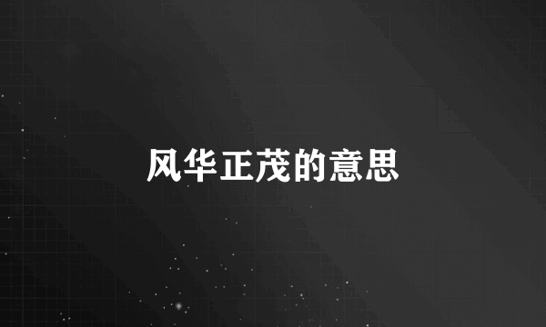 风华正茂的意思