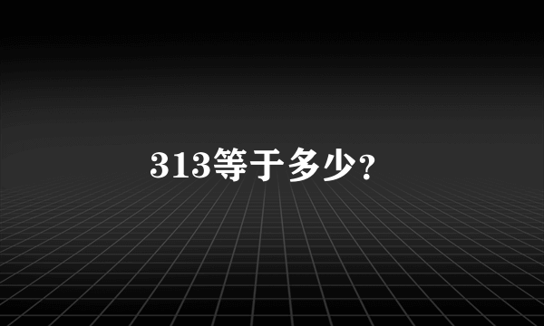 313等于多少？