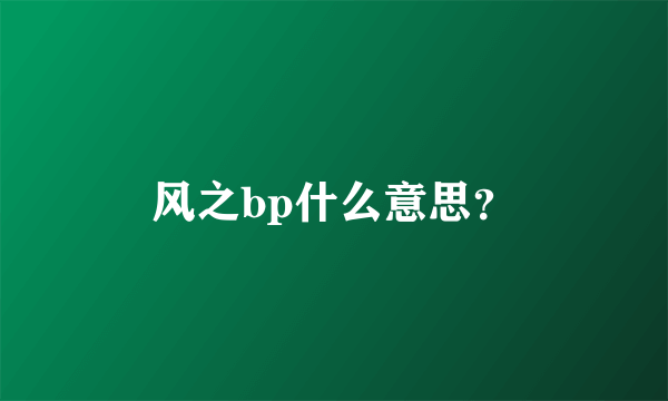 风之bp什么意思？