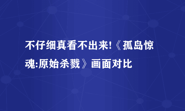 不仔细真看不出来!《孤岛惊魂:原始杀戮》画面对比